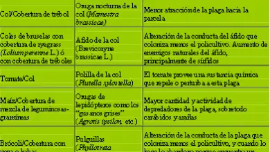 Photo of Meccanismi di difesa delle policolture contro i parassiti