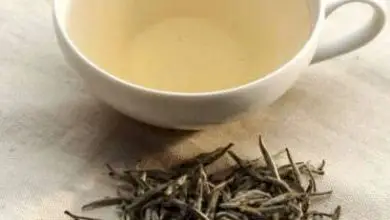 Photo of Tè bianco: un infuso pregiato dal sapore delicato che tutela la salute