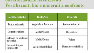 Photo of Tipi di fertilizzanti organici