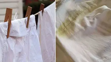 Photo of Trucchi fatti in casa per rimuovere le macchie dai vestiti