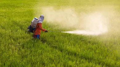 Photo of Ulteriori studi scientifici sui pericoli per la nostra salute di OGM e pesticidi