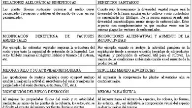 Photo of Tecniche di agricoltura ecologica: Biodiversità