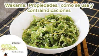 Photo of Wakame: proprietà, come usarlo nelle ricette e controindicazioni di questa alga