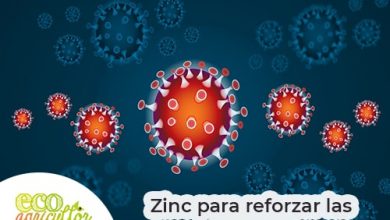 Photo of Zinco: perché è così importante, funzioni, sintomi di carenza e se deve essere integrato