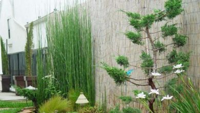 Photo of Decorazione da giardino con bambù