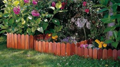 Photo of Come realizzare una bordura da giardino
