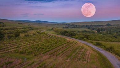 Photo of Qual è l’influenza delle fasi lunari sull’agricoltura