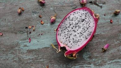 Photo of Pitaya: coltivazione