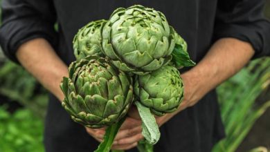 Photo of La stagione dei carciofi: quando è e come si raccolgono