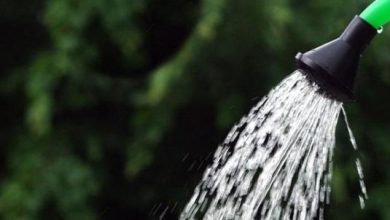 Photo of L’acqua migliore per innaffiare le piante