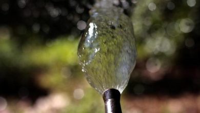 Photo of Vantaggi e svantaggi dell’irrigazione con un tubo