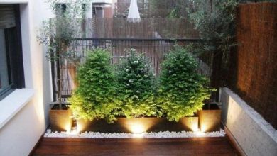 Photo of Idee per decorare patii interni