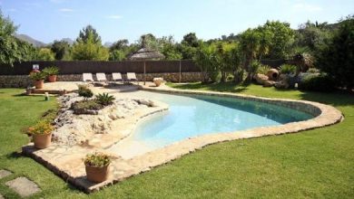 Photo of Consigli per arredare giardini con piscina
