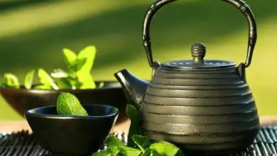 Photo of Come avere un giardino di erbe aromatiche per il tè