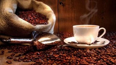 Photo of Come coltivare il caffè in casa
