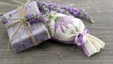 Photo of Prugna alla lavanda: come e quando farlo