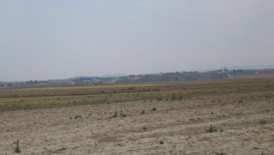 Photo of Cosa c’è di maggese in agricoltura e nei suoi tipi