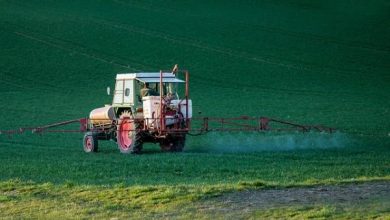 Photo of Agrotossici: cosa sono, tipologie e utilizzo