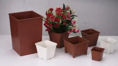 Photo of Vantaggi e svantaggi dei vasi di plastica