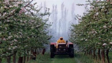 Photo of Usi del polisolfuro di calcio in agricoltura