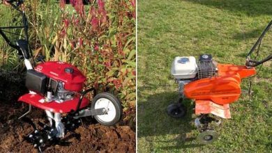 Photo of Vantaggi dell’utilizzo di motozappe nel tuo frutteto o giardino