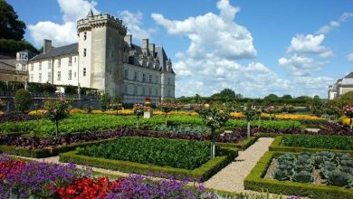Photo of Quali sono le caratteristiche di un giardino alla francese?