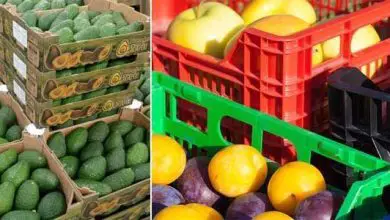 Photo of Dal campo al tuo supermercato: trasportare frutta e verdura