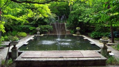 Photo of Caratteristiche di un giardino all’italiana
