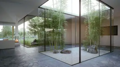 Photo of Come creare il tuo giardino zen a casa