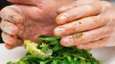Photo of Movimentazione alimentare nel settore ortofrutticolo