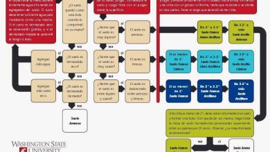 Photo of Come conoscere la tessitura del terreno in modo casalingo e analitico