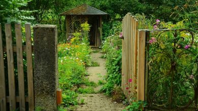 Photo of Casette da giardino: quale materiale scegliere?