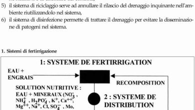 Photo of Guida alle soluzioni nutritive per le colture