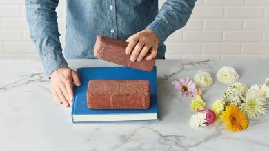 Photo of Come asciugare una rosa con i materiali più semplici