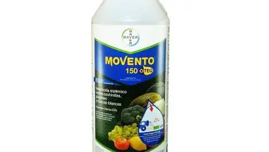Photo of Movento 150 O-Teq: dosaggio e usi come insetticida