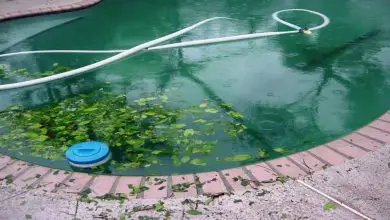 Photo of Come recuperare l’acqua torbida da una piscina